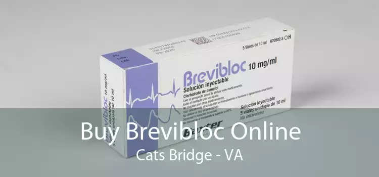 Buy Brevibloc Online Cats Bridge - VA