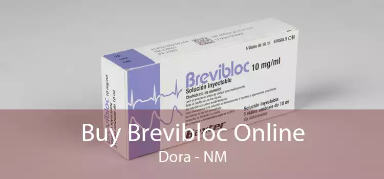 Buy Brevibloc Online Dora - NM